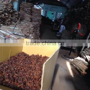 VIETNAM BEST QUALITY AUTUMN STAR ANISE thumbnail-4