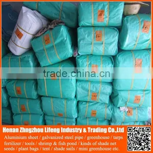 Open Top Container 100 Virgin Hdpe pe Mesh Woven Plastic Tarpaulin Fabric Material Sheet Roll Truck Car Tent Roofing Cover thumbnail-4