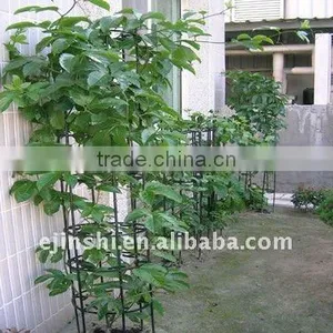 Best Quality With Low Price Garden Plant Support thumbnail-1