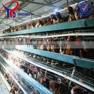 Cage Rearing Poultry/chicken Cage for Poultry Farm/layer Chicken Cage thumbnail-5