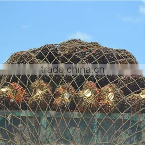 Large Energy Saving Edible Palm Kernel Oil Press Machine Spiral Press Machinery thumbnail-4