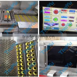 Rotating Disc Type Green Olive Pitting Machine/ Red Dates Pitting Machine thumbnail-3
