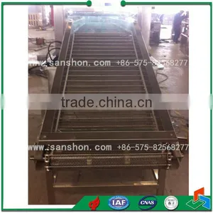 China Shallot,Spring Onion,Chives Washing Machine,Vegetable Washing Machine thumbnail-5