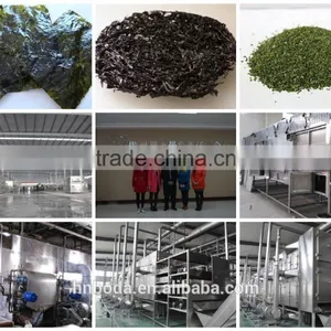 Seaweed Dehydrator thumbnail-1
