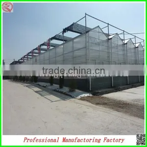 Large Muti-span Polycarbonate Sheet Greenhouse for Tomatos thumbnail-6