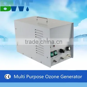5g/h Air Purificatoire Kill Virus et Odeur 99 Ozone Air Purification Equipment thumbnail-3