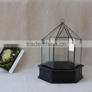 Micro Landscape Indoor Glass Greenhouse/ Clear Glass Indoor Plant Terrarium /Geometric Glass Terrarium thumbnail-1