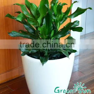 Modern Small Flower Pots For Crafts thumbnail-1