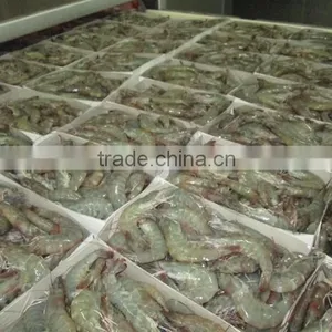 Genuine Quality Vannamei HLSO Shrimp Available in Eco-Friendly Packaging thumbnail-5