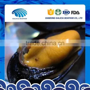 Tasty Frozen Mussel in Half Shell From Superior Seller thumbnail-1