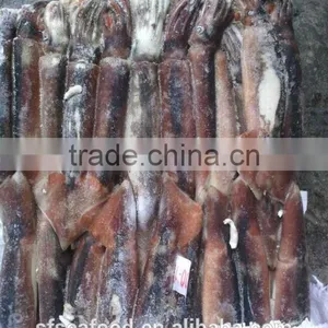 Seaweed Salad Illex Squid thumbnail-1
