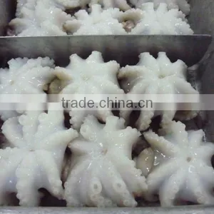 FRESH FROZEN BABY OCTOPUS FROM ALO SEAFOOD Co., thumbnail-1
