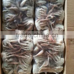 Frozen Half Cut Crab thumbnail-2
