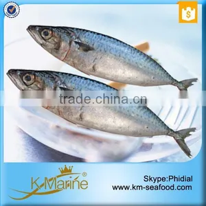 Hot Sale Competitive Prices Land Frozen Mackerel Fish Benefits thumbnail-1