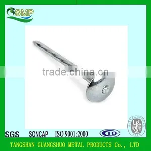 BWG9*2.5" Roofing Nails thumbnail-1