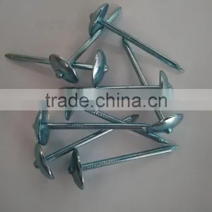 Blue Galvanized Roofing Nails to Indonesia thumbnail-1