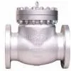 ANSI Check Valve(wenzhou,China) thumbnail-1