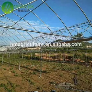 China Factory Plastic Film Covering Multi Span Tunnel Greenhouse thumbnail-5