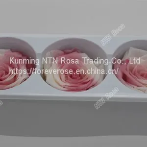 Preserved Flowers for Wedding Decoration thumbnail-1
