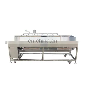 Industrial Automatic Red Bell Pepper Onion Tomato Vegetable Brush Roll Washing Machine for Sale thumbnail-4