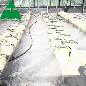 Hydroponic PC Sheet Greenhouse for Cucumber/Tomato/Lettuce thumbnail-3
