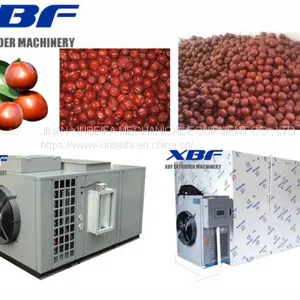 Red Date Jujube Dehydration Air Energy Dryer Machine thumbnail-1