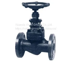 Forged Steel Globe Valve J41Y H-25/40/64/100/160 Grade Forging Steel Stop Valve thumbnail-1