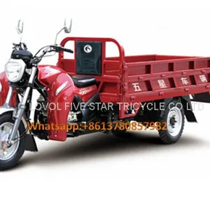 Gasoline Tricycle Cargo Loader Lovol Three Wheeler Mali Ethiopia Ghana Bukina Faso Tanzania Kenya Senegal Togo Benin Nigeira Mauritania Angola Burundi Chad Cameroon C ô te D'Ivoire Gabon Guinea Mozambique Rwanda Congo Uganda Zimbabwe thumbnail-1