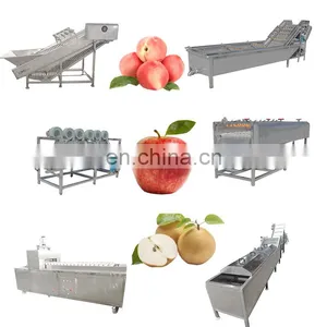 High Quality Dried Apple Slices Processing And Production Line Machinery And Equipment thumbnail-1