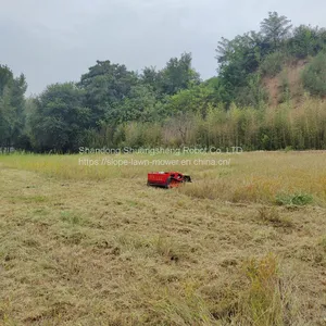 Affordable Low Price Remote Controlled Bush Trimmer For Sale thumbnail-1