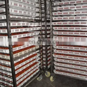 Vegetable&Fruit Drying Machine/Dryer/Drying Cabinet/Oven thumbnail-2