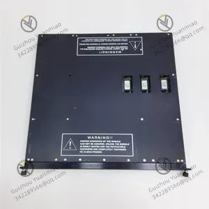 Triconex 3624 Input/output Module thumbnail-3