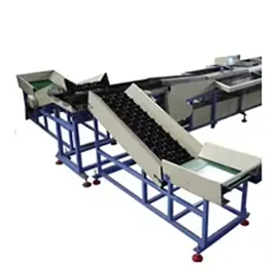 Sorting Grading Machine for Large Fruit Grapefruit Pomelo Cantaloupe Coconut Fruit Weight Classifier Fruit Processing Line Optical Sorter thumbnail-6