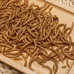 High Protein Dried Mealworms For Chickens thumbnail-3