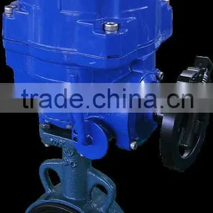 Electric Rotary Actuator thumbnail-1
