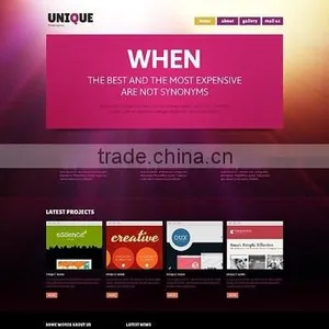 Web Designer thumbnail-5