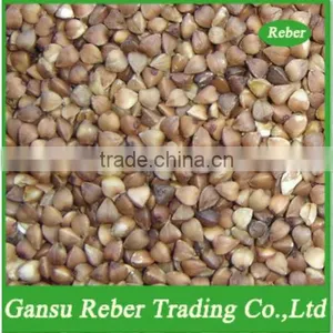 Roasted Buckwheat thumbnail-1