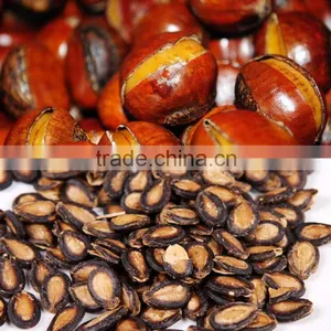 Chestnut Pine Nut Opener Equipment,Filbert Nut Opening Machine,Walnut Opening Machine thumbnail-4