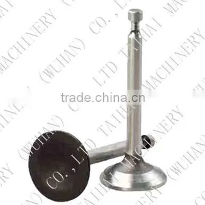 Intake and Exhaust Valve thumbnail-1