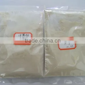 Onion Powder thumbnail-1