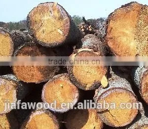 Southern Yellow Pine Logs thumbnail-1