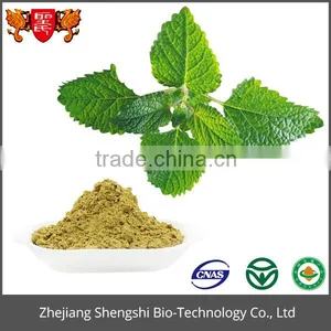 Best Price Optimal Level 100% Natural Wild Mint Herb Extract thumbnail-1