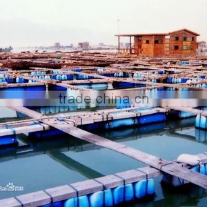 Good Quality PE Net for Fresh Water or Deep-water Net Cage From Factory thumbnail-1