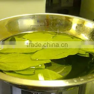 Pure Betel Leaf Oil | Betel Leaf Essential Oil For Export Only thumbnail-2