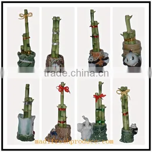 Small Lucky Bamboo Flower Pot thumbnail-6