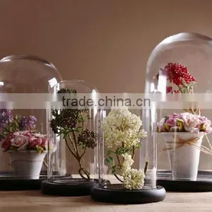 Wholesale Clear Glass Bell Jar With Wooden Base, High Quality Glass Bell Jar Dome Manufacture thumbnail-2