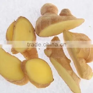Young Fresh Ginger for Sale thumbnail-2