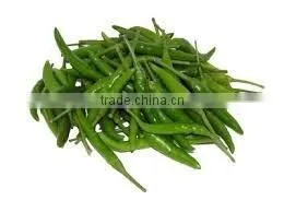 Green Chilli thumbnail-3