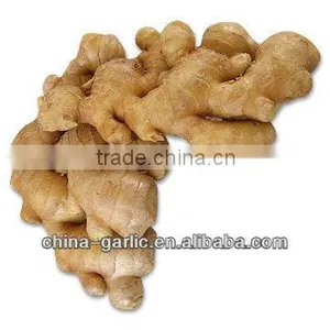 Hot!!! Low Price Ginger Root thumbnail-1