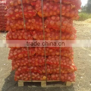 EGYPTION ONION Farm Fresh Shallot Onions  Super Quality  With Great Price Promotion thumbnail-2